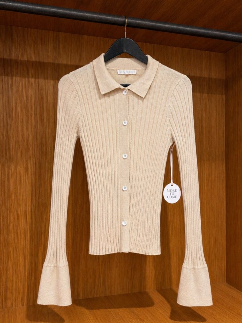 More To Come Brandy Button Front Sweater